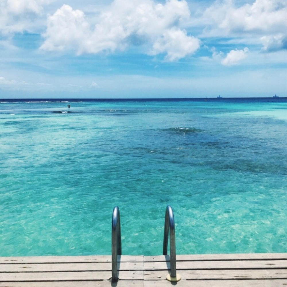 Meet your Posher, Laurel